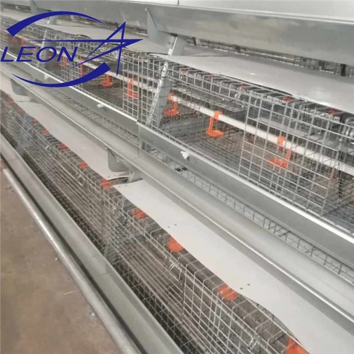 Automatic Feeding Line And Drinking Line in Cage