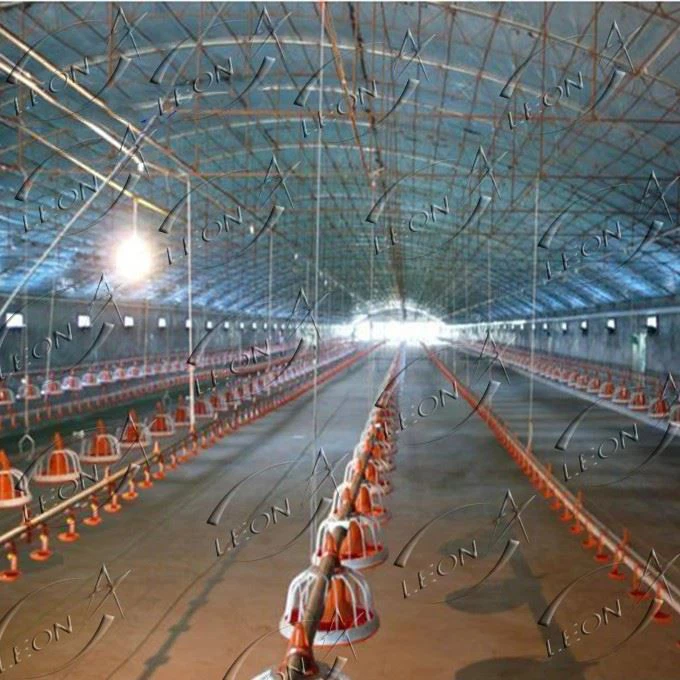 Fully Automatic Poultry Farm Broiler Equipment Price With CE Certificate