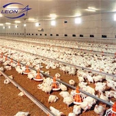 Sistema automático de elevación del piso de pollo de engorde