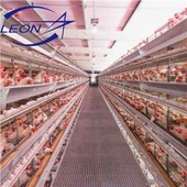 Huevo de gallina en jaulas de capa