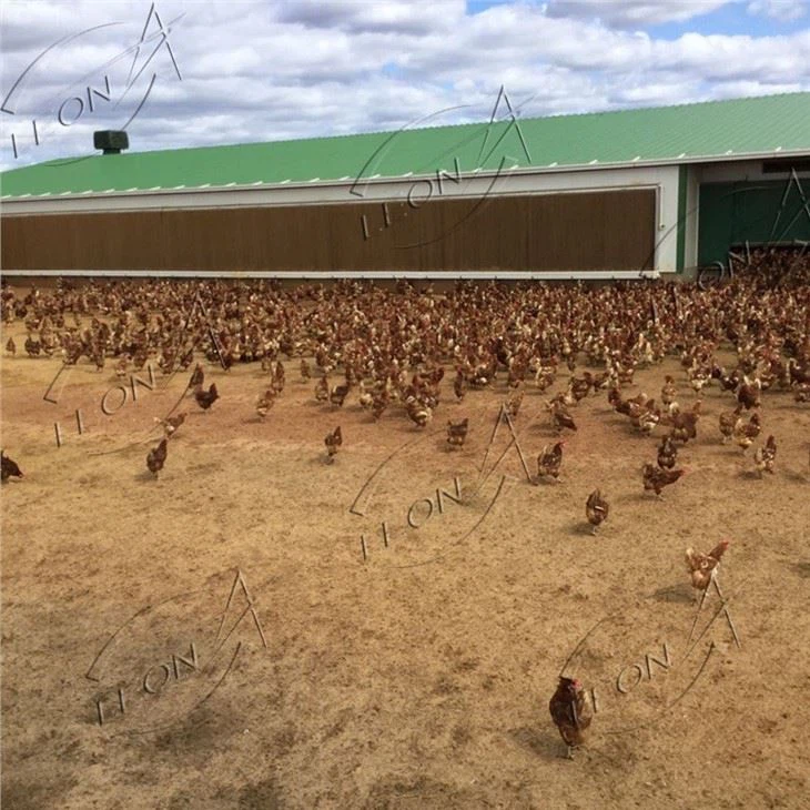 Chicken Farm Black Cooling Pad