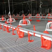 Sistema de bebedero de pezón de plástico