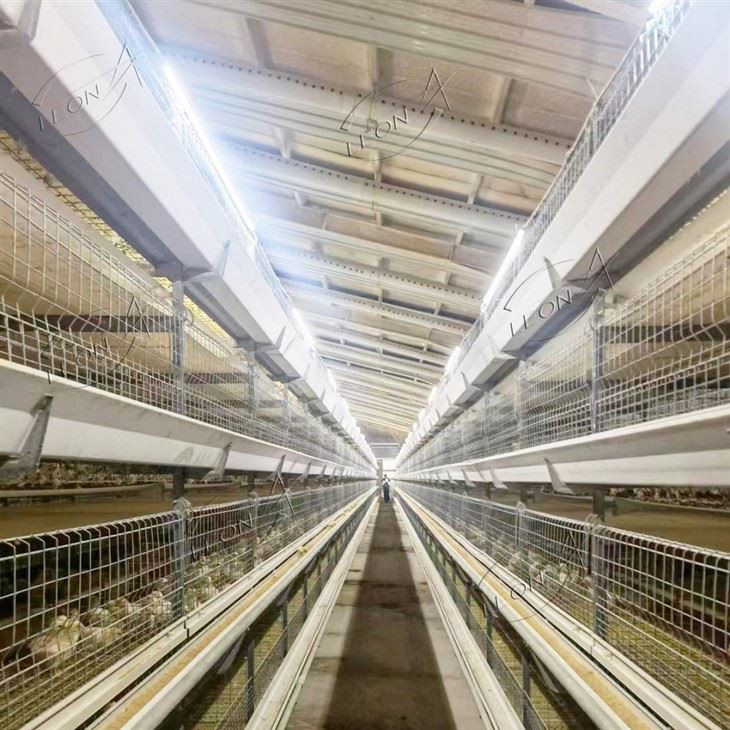Sistema de elevación de jaulas para pollos de engorde