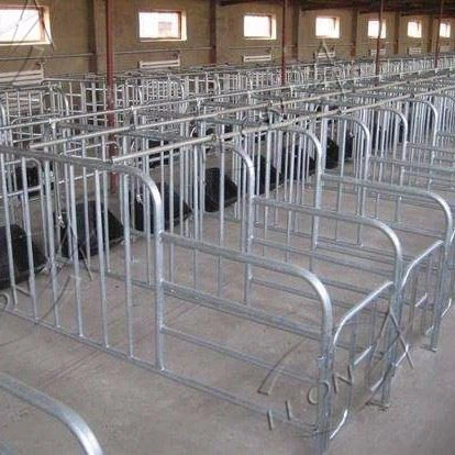 Gestation Crate