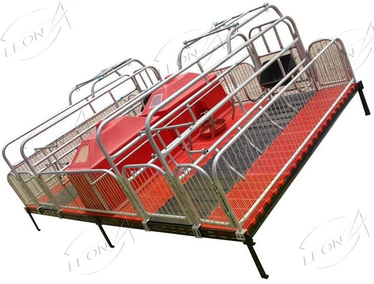 pig sow farrowing crates3