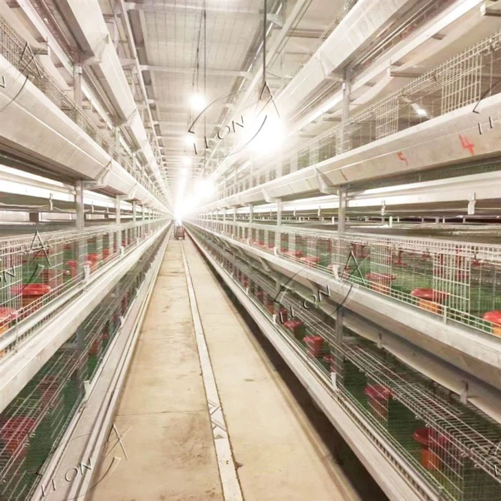Chicken Cage For Broilers And Baby Chicks Chicken Cage For Broilers And Baby Chicks