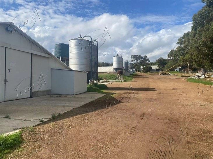 Feed Silo For Poultry Farming