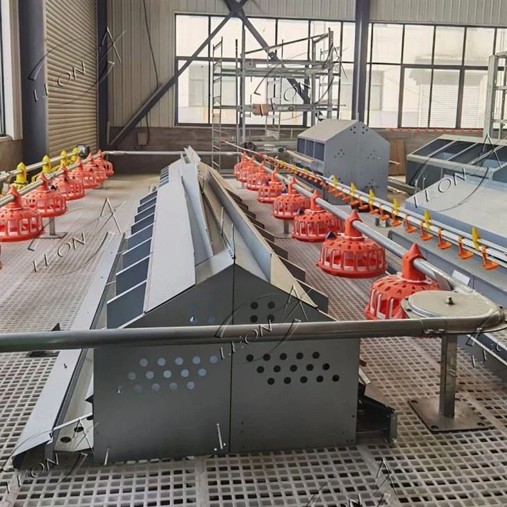 Nido de ponedora automática para pollos de corral