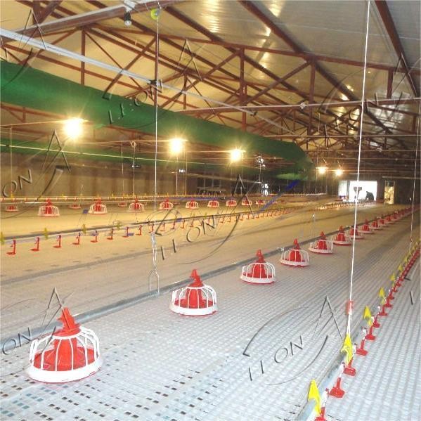 Poultry Automatic Pan Feeding System For Broilers