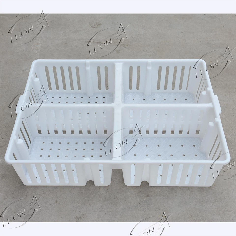 Jaula de transporte de pollitos de plástico para aves de corral