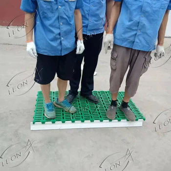 10 10